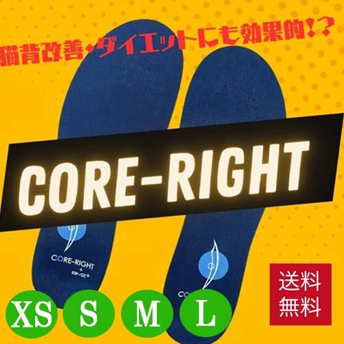 CORE-RIGHT コアライト インソール 男女兼用 送料無料 BMZ 姿勢 CORE-RIGHT コアライト インソール 男女兼用 送料無料 BMZ 姿勢