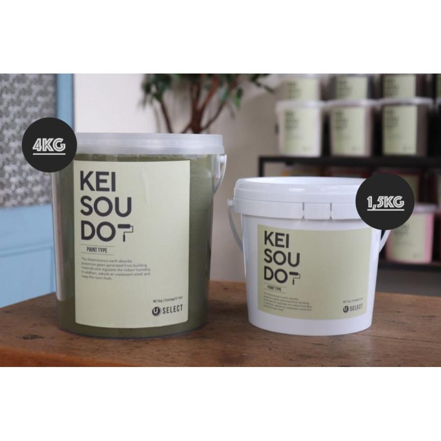 珪藻土 塗料 壁材 ペイント材 KEISOUDO PAINT 1.5kg【MOSS】｜u-selectshop｜05