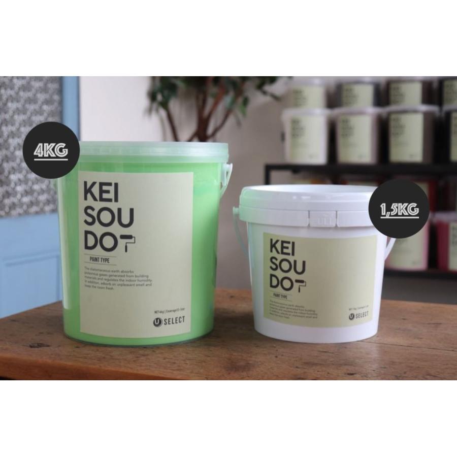 珪藻土 塗料 壁材 ペイント材 KEISOUDO PAINT 1.5kg【PISTACHIO】 : U 
