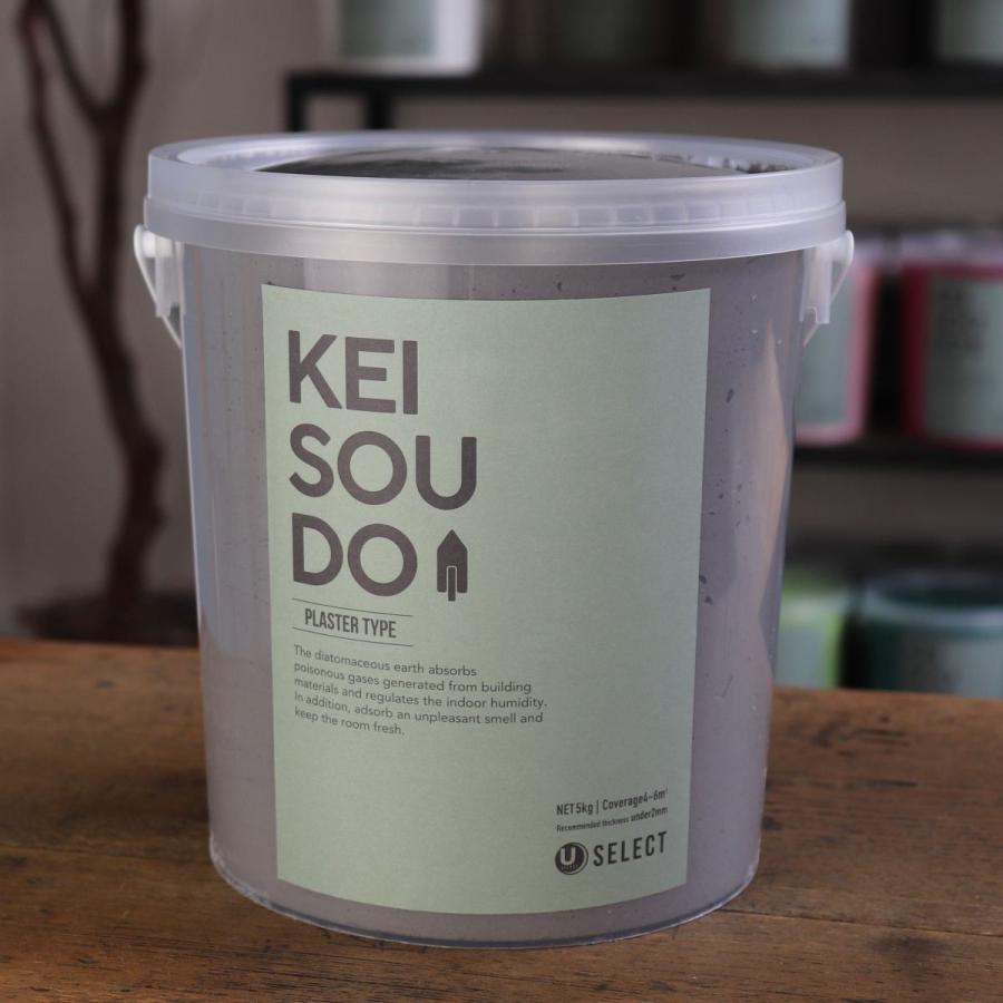 珪藻土 壁 塗り壁 左官 壁材 塗料 DIY U-SELECT KEISOUDO PLASTER 5kg 