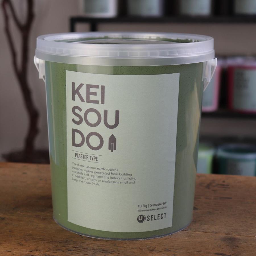 珪藻土 壁 塗り壁 左官 壁材 塗料 DIY U-SELECT  KEISOUDO PLASTER 5kg【MOSS】｜u-selectshop