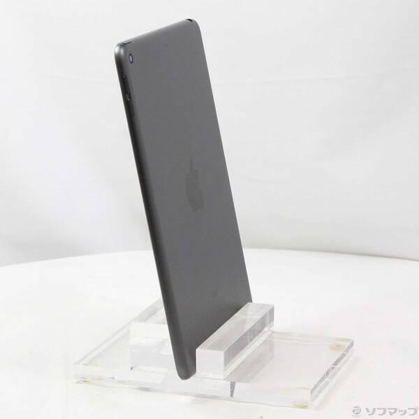 iPad Mini 第5世代スペースグレー 美品 iPad mini 第5世代 256GB スペースグレイ MUXC2J/A Apple版SIM