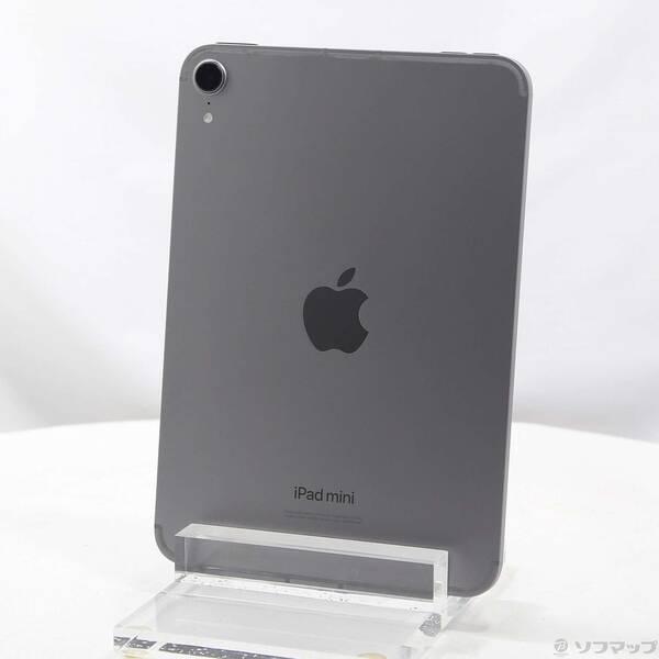 〔中古〕Apple(アップル) iPad mini(A17 Pro) 256GB スペースグレイ MXPT3J／A SIMフリー〔344-ud〕 | 