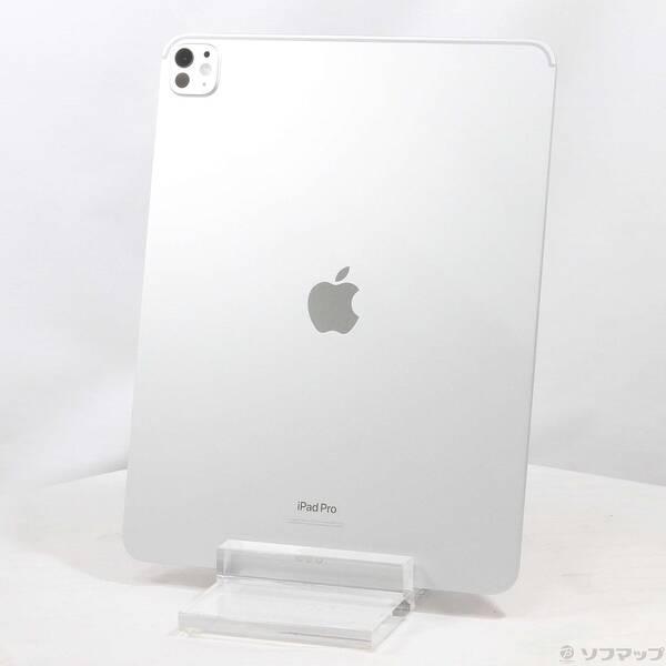 〔中古〕Apple(アップル) iPad Pro 13インチ 第1世代 標準ガラス 512GB シルバー MVX53J／A Wi-Fi〔377-ud〕 | 