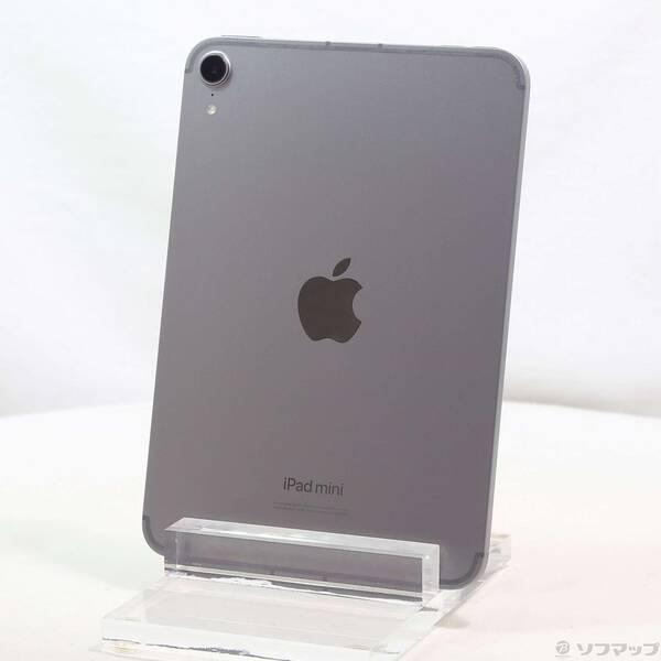 〔中古〕Apple(アップル) iPad mini(A17 Pro) 256GB スペースグレイ MXPT3J／A SIMフリー〔377-ud〕 | 