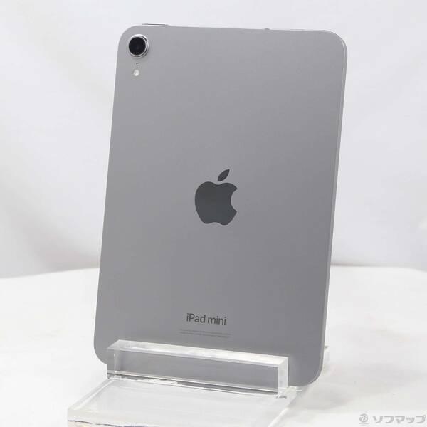〔中古〕Apple(アップル) iPad mini(A17 Pro) 256GB スペースグレイ MXNA3J／A Wi-Fi〔251-ud〕 | 