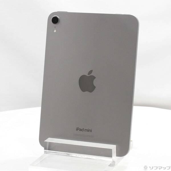 〔中古〕Apple(アップル) iPad mini(A17 Pro) 256GB スペースグレイ MXNA3J／A Wi-Fi〔198-ud〕 | 