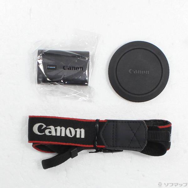 〔中古〕Canon(キヤノン) EOS R6 Mark II ボディ〔258-ud〕の画像
