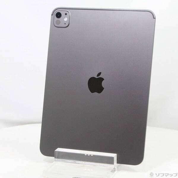 〔中古〕Apple(アップル) iPad Pro 11インチ(M5) 標準ガラス 512GB スペースブラック MDWM4J／A Wi-Fi〔377-ud〕 | 
