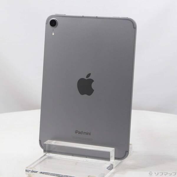 〔中古〕Apple(アップル) iPad mini(A17 Pro) 256GB スペースグレイ MXPT3J／A SIMフリー〔377-ud〕 | 