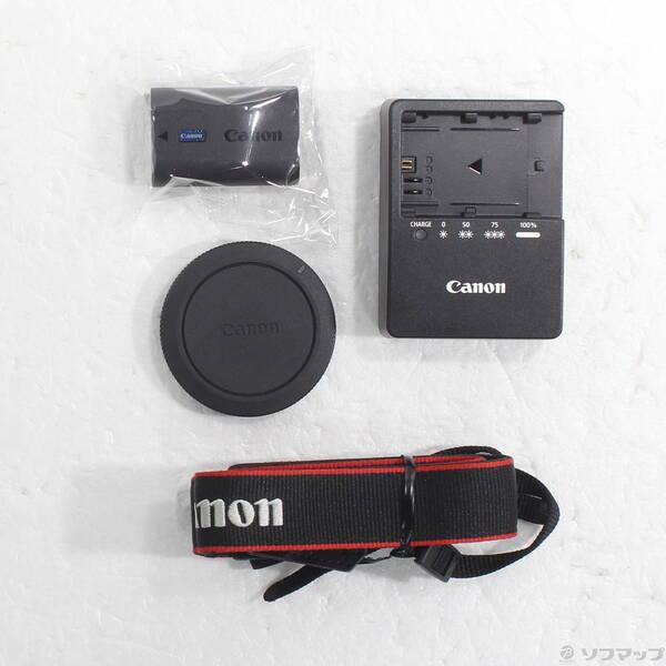 〔中古〕Canon(キヤノン) EOS R6 Mark II ボディ〔349-ud〕 |  | 05