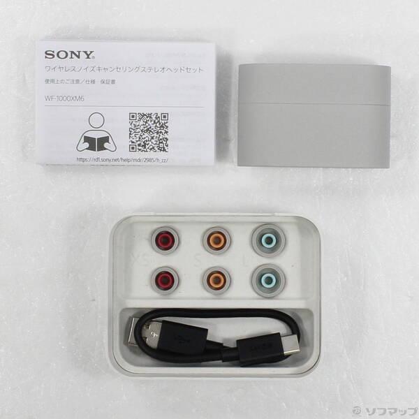 〔中古〕SONY(ソニー) WF-1000XM6 プラチナシルバー〔198-ud〕 |  | 04