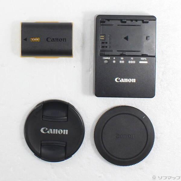 〔中古〕Canon(キヤノン) EOS R6 RF24-105 IS STM レンズキット〔251-ud〕 |  | 05