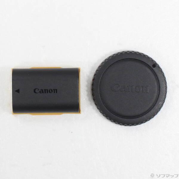 〔中古〕Canon(キヤノン) EOS 5D MarkIV (3040万画素／SDXC／CF)〔198-ud〕 |  | 05