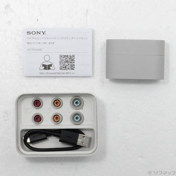〔中古〕SONY(ソニー) WF-1000XM6 プラチナシルバー〔305-ud〕 |  | 04