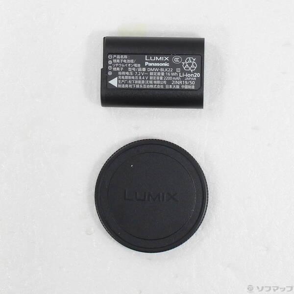 〔中古〕Panasonic(パナソニック) LUMIX S5II ボディ DC-S5M2〔258-ud〕 |  | 05