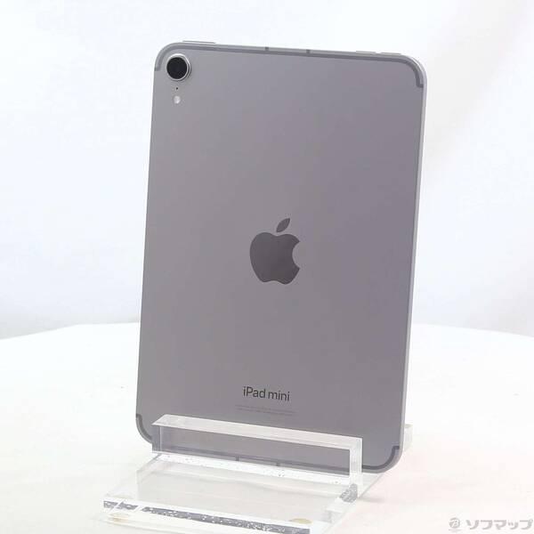 〔中古〕Apple(アップル) iPad mini(A17 Pro) 128GB スペースグレイ MXPN3J／A SIMフリー〔269-ud〕 | 