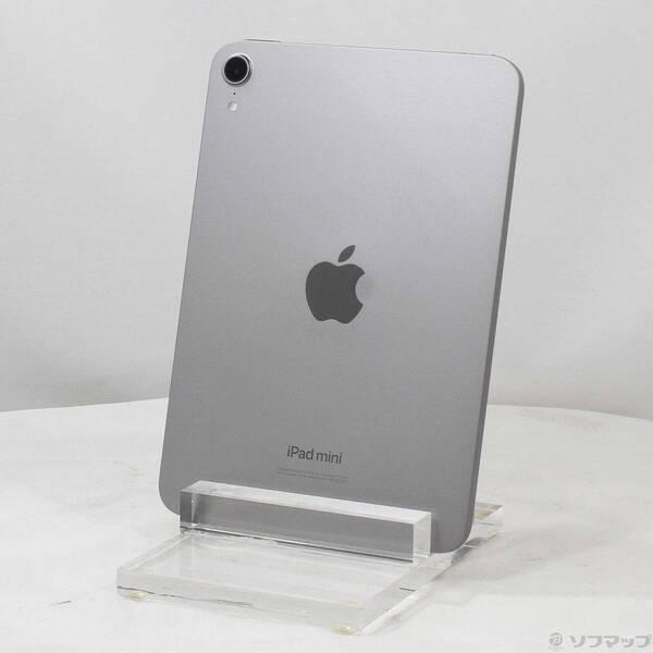 〔中古〕Apple(アップル) iPad mini(A17 Pro) 256GB スペースグレイ MXNA3J／A Wi-Fi〔305-ud〕 | 