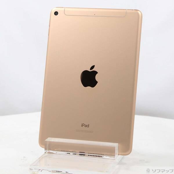〔中古〕Apple(アップル) iPad mini 第5世代 256GB ゴールド MUXE2J／A docomoロック解除SIMフリー〔348-ud〕 | 