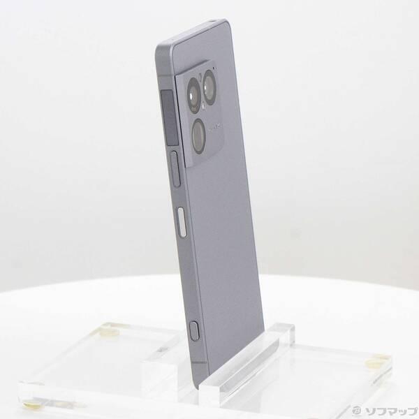 〔中古〕SONY(ソニー) Xperia 1 VIII 256GB アイオライトシルバー XQ-GE44 S1JPCX0 SIMフリー〔262-ud〕 |  | 03
