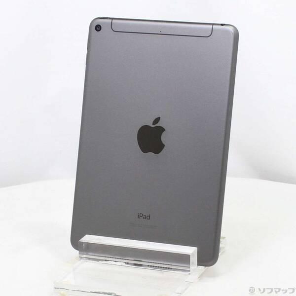 〔中古〕Apple(アップル) iPad mini 第5世代 256GB スペースグレイ MUXC2J／A auロック解除SIMフリー〔377-ud〕 | 