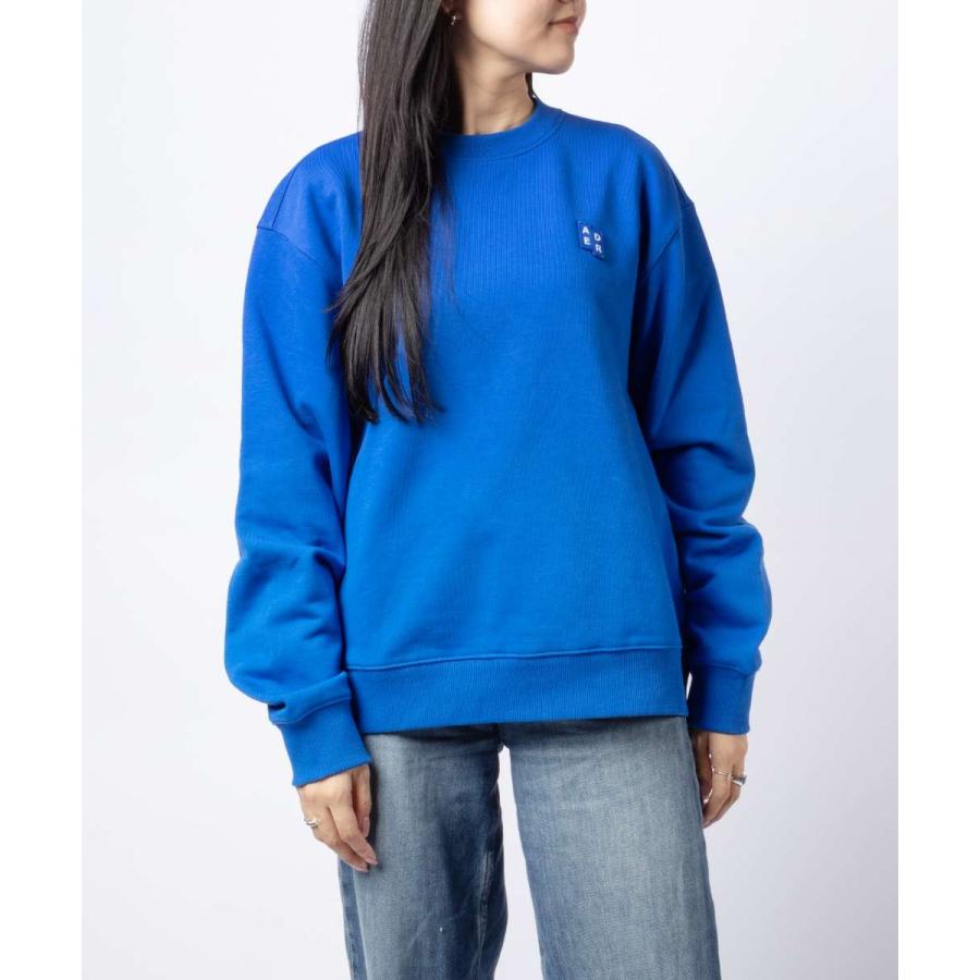 アーダーエラー ADERERROR SIG BL TAG SWEATSHIRT 01 シグ ブルー タグ スウェットシャツ BO42FYSW0101 トレーナー ユニセックス トップス | 