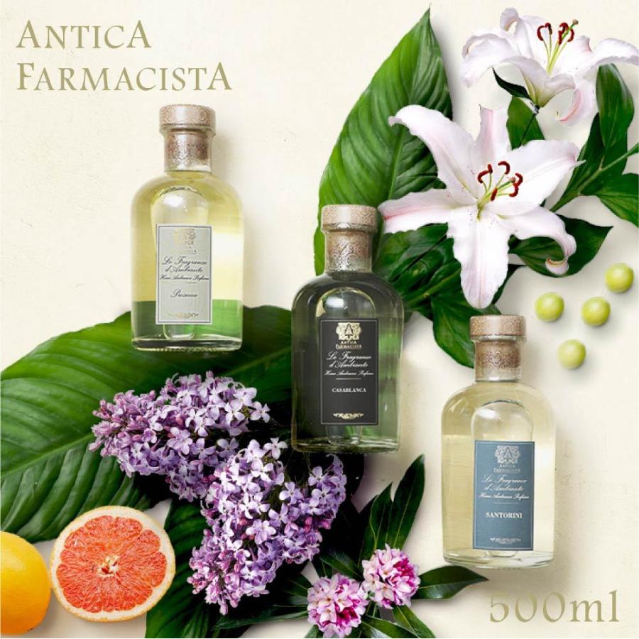 antiqua アンティカファルマシスタ Antica Farmacista