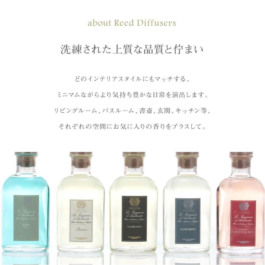 antiqua アンティカファルマシスタ Antica Farmacista