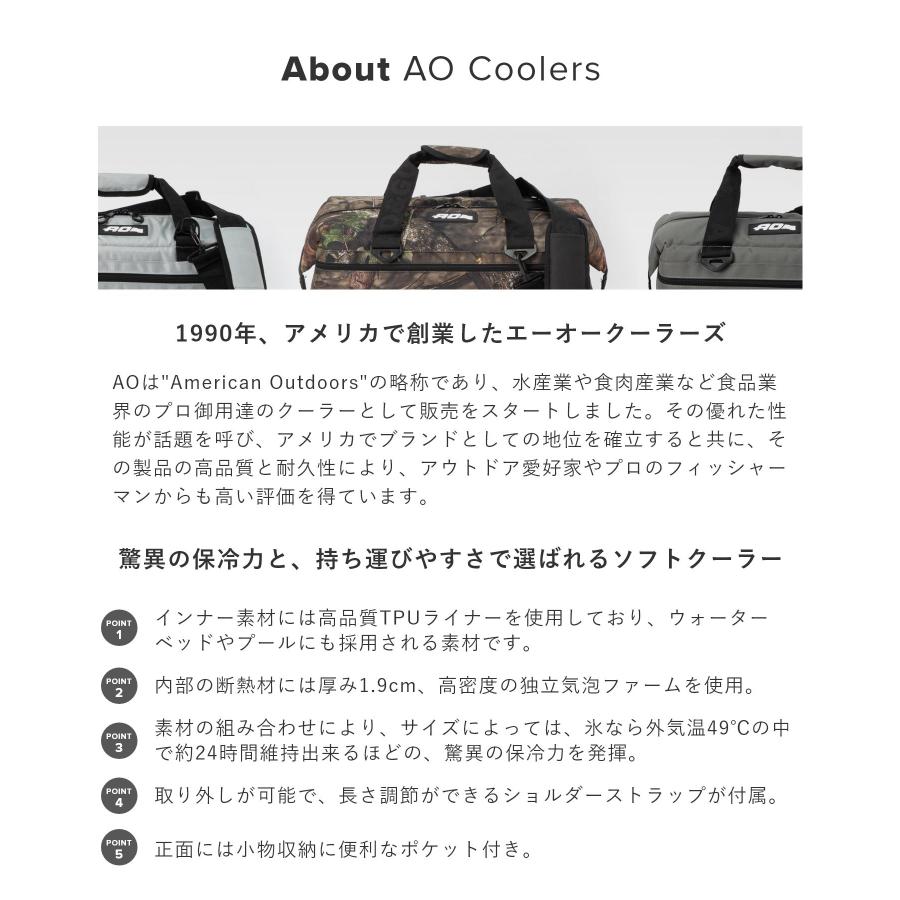 AO Coolers エーオークーラーズ COOLER AO24BK クーラーボックス