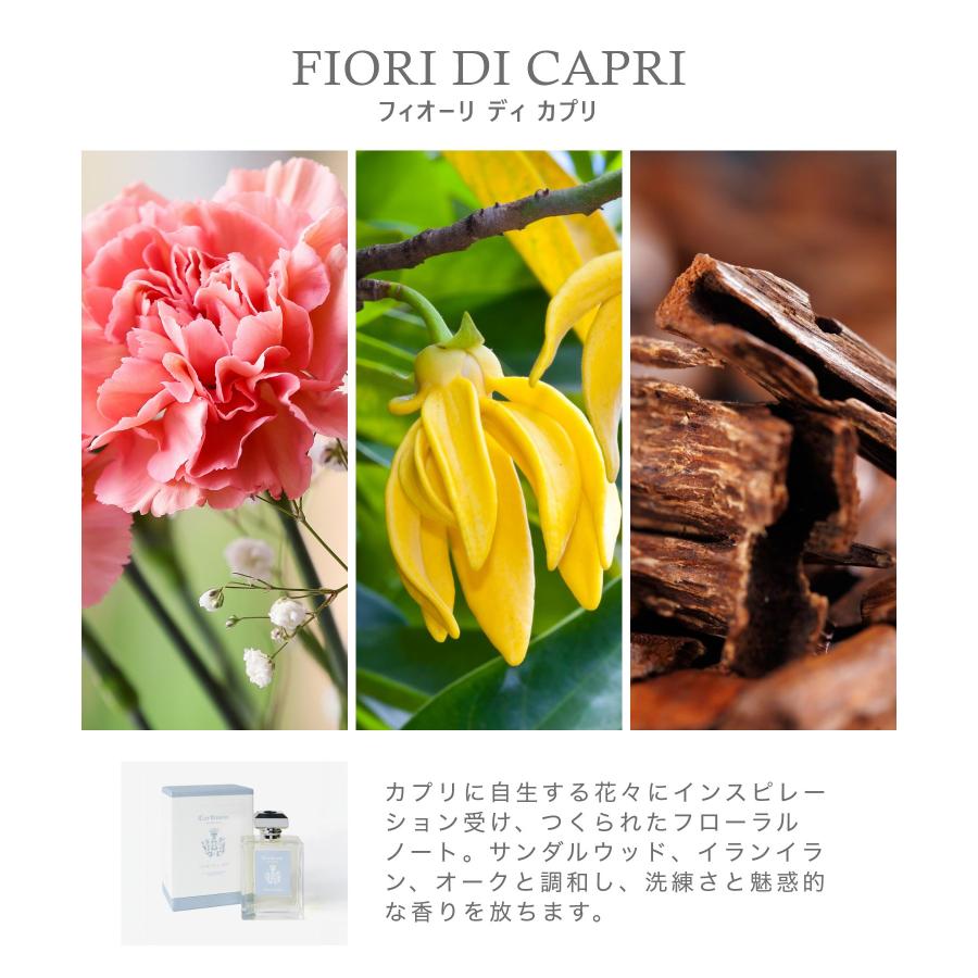カルトゥージア Carthusia リードディフューザー 480mL ユニセックス ホーム＆グッズ 返品交換不可 爆買 | Carthusia | 04