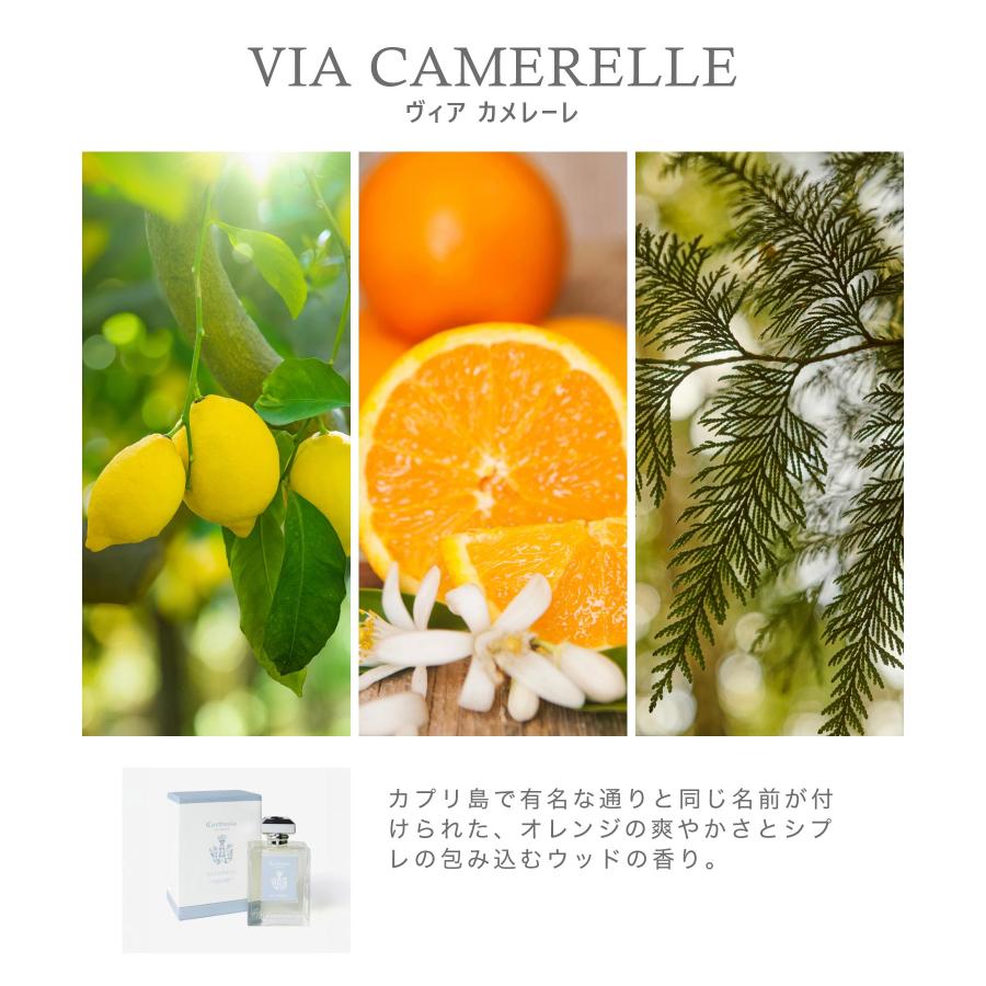 カルトゥージア Carthusia リードディフューザー 480mL ユニセックス ホーム＆グッズ 返品交換不可 爆買 | Carthusia | 06