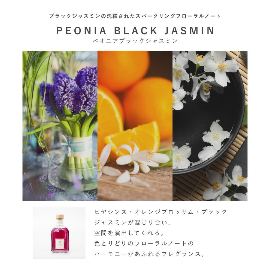 ドットール・ヴラニエス Dr. Vranjes ディフューザー 250mL ドットールヴラニエス ルームフレグランス ホームフレグランス 返品交換対象外 爆買 | DR. VRANJES | 06