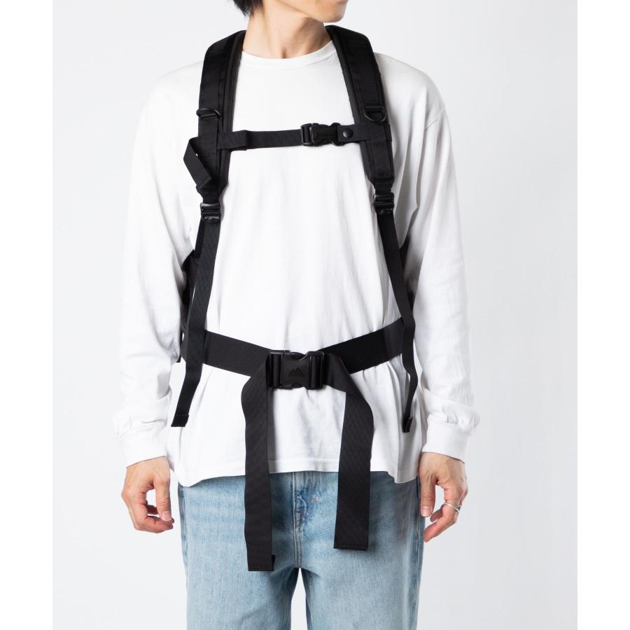 グレゴリー GREGORY DAY AND A HALF PACK メンズ バッグ バックパック 651501041 マウンテン ラックサック ナイロン B4 33L 黒 ブラック 爆買の画像