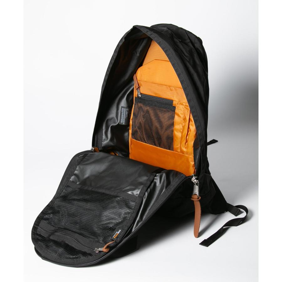 グレゴリー GREGORY 1500641041 バックパック DAY PFM V2 メンズ バッグ デイパック クラシック リュックサック 26L 黒 通勤 通学 旅行 アウトドア 爆買 | GREGORY | 13