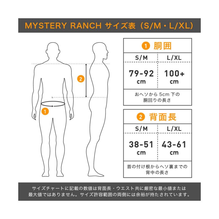 ミステリーランチ MYSTERY RANCH Everyday Carry エブリデイ キャリー 2 Day Assault 2 デイアサルト 27L 111183 バックパック リュックサック メンズ 爆買の画像
