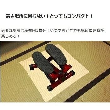 ショップジャパン（Shop Japan） SALE 健康ステッパー ナイスデイ【 色