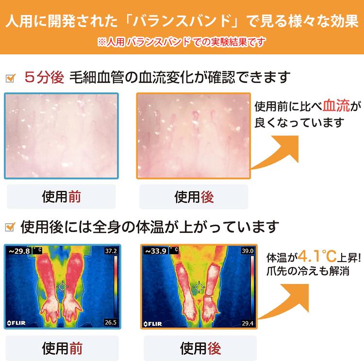 TUNERS ジョイフル アニマル バランスバンド【 1本入り 】Dカンあり