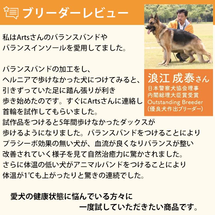 Tuners ジョイフル アニマル バランスバンド 1本入り 色とサイズが選べます 首輪 ワンちゃん 犬 イヌ いぬ 猫 ネコ ねこ 重心 骨格 補正 姿勢 Powerpit 通販 Yahoo ショッピング