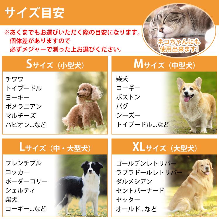 TUNERS ジョイフル アニマル バランスバンド【 1本入り 】Dカン