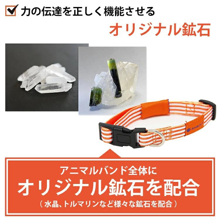 TUNERS チューナーズ アニマル バランスバンド リニューアル 軽量化