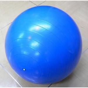 #SDS-75 エクササイズボール ブルー 75cm 青 ポンプ無し セラバンド プロシリーズ バランスボール 体幹 D&M ライザップ RIZAP_1