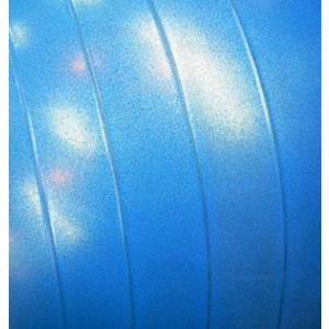 #SDS-75 エクササイズボール ブルー 75cm 青 ポンプ無し セラバンド プロシリーズ バランスボール 体幹 D&M ライザップ RIZAP_2