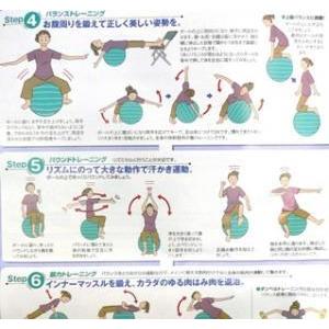 日本産 Hatas Db65 バランスボールセイフティー 65cm ポンプ無し グリーン 送料無料 体幹 腹筋 背中 背筋 腰 骨盤 秦運動具工業 自宅トレーニング 魅力的な Turningheadskennel Com