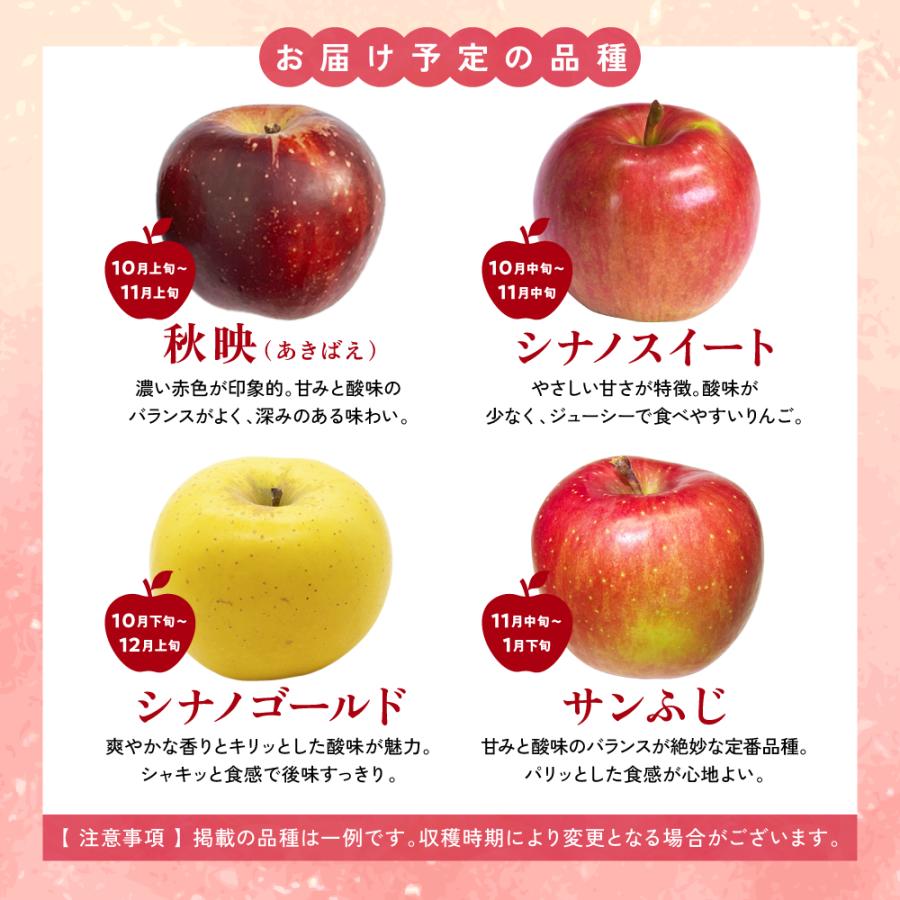 3営業日以内発送】 りんご 訳あり 長野県産 家庭用 1kg 3〜7玉 品種