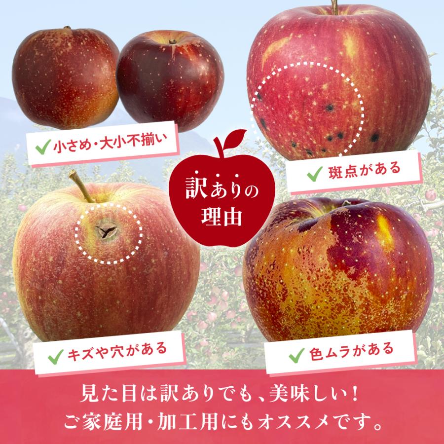 3営業日以内発送】 りんご 訳あり 長野県産 家庭用 5kg 20〜33玉 品種