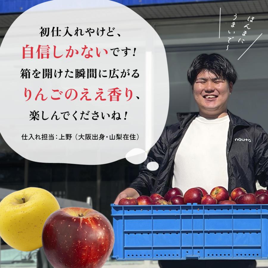 3営業日以内発送】 りんご 訳あり 長野県産 家庭用 5kg 20〜33玉 品種