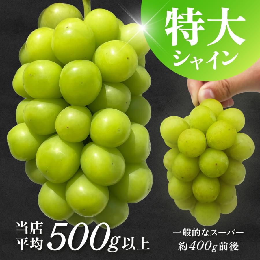 巨峰image_1_1599046317620_400.JPG