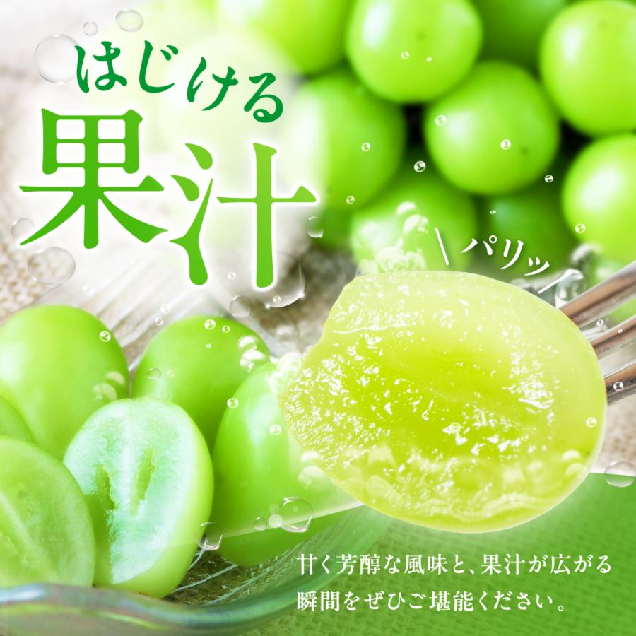 山梨県笛吹市 訳ありシャインマスカット 2kg以上 ④ 【公式通販】