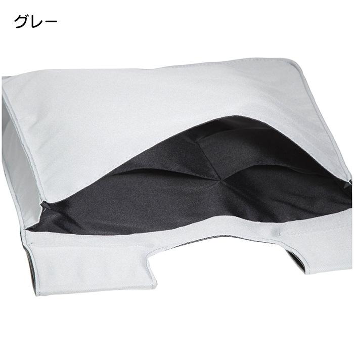 MIZUNO（ミズノ） 野球 ソフトボール 審判用品 審判員用硬式・軟式