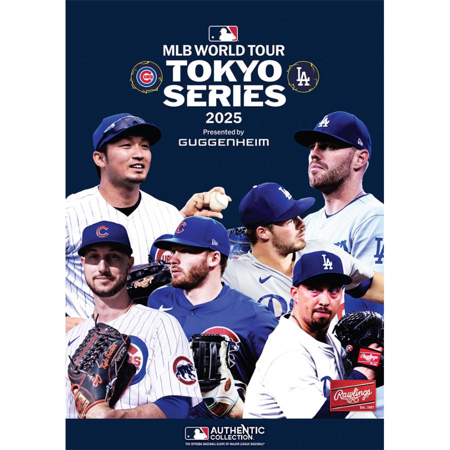 Rawlings（ローリングス） 野球 グローブ 軟式 内野用 2025 MLB